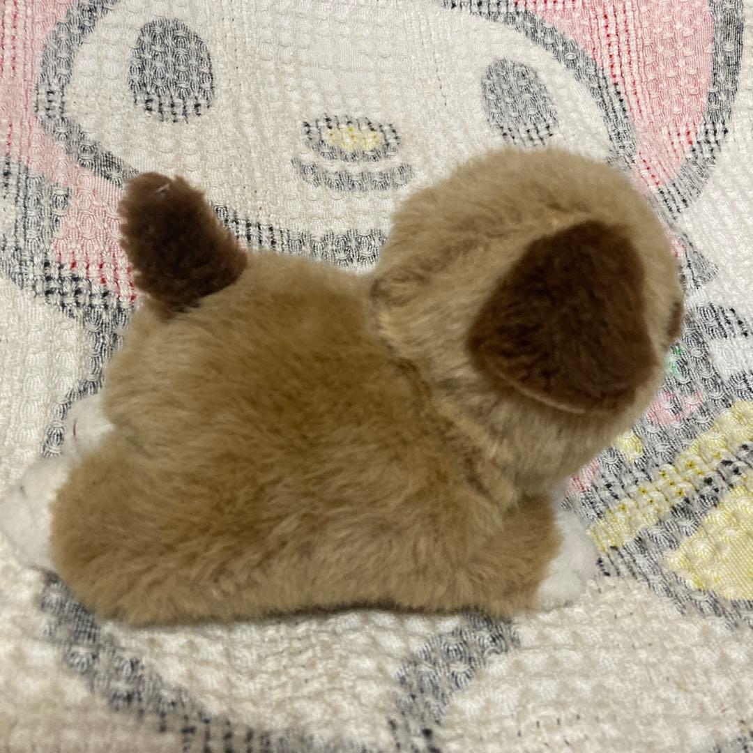 昭和レトロ ファースト社 いたずら天使 プチ犬 中古品 - メルカリ