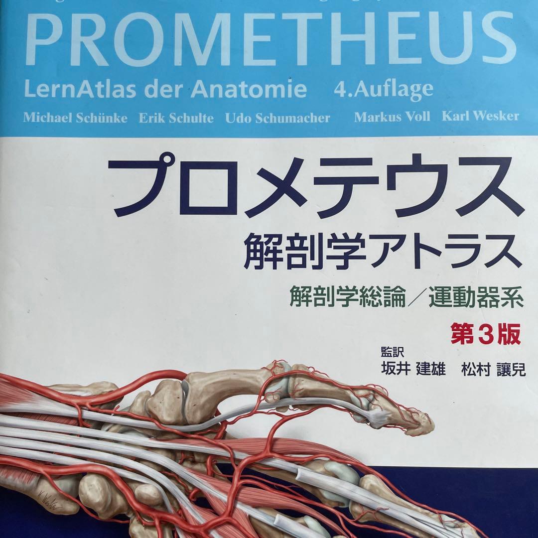 プロメテウス解剖学アトラス 解剖学総論/運動器系 - メルカリ