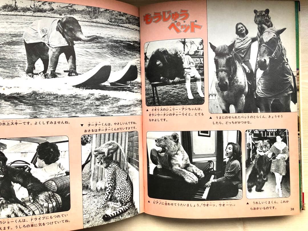 なぜなに学習図鑑11 なぜなに もうじゅうと大怪獣 - メルカリ