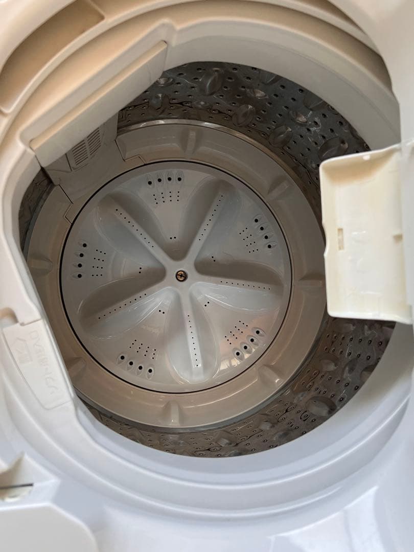 送料無料 マックスゼン 6.0kg 全自動洗濯機 JW60WP01 槽洗浄 良品