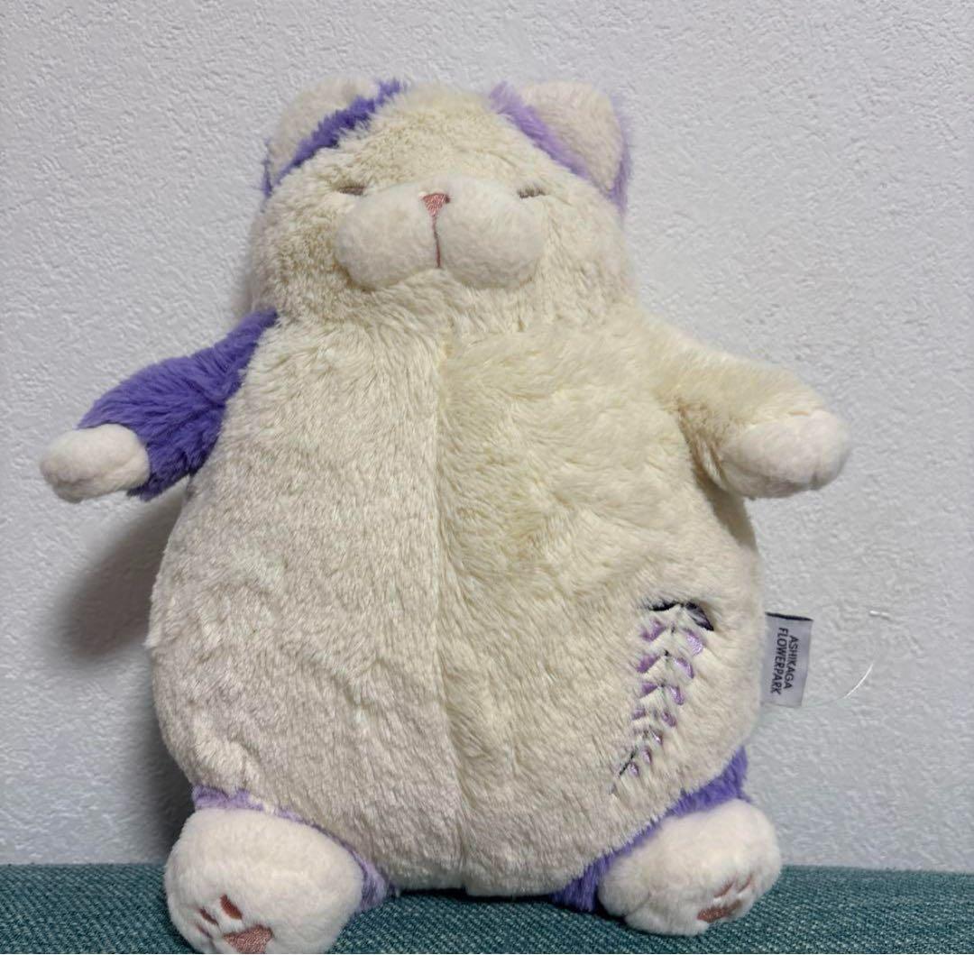 足利フラワーパー猫肯定感　猫ぬいぐるみ ねこ肯定感 抱き枕M 藤 | あしかがフラワーパーク