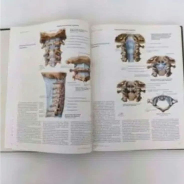 洋書 ・希少 CIBA医学イラスト集第1巻 Ⅰ フランクH.ネッター／英語版