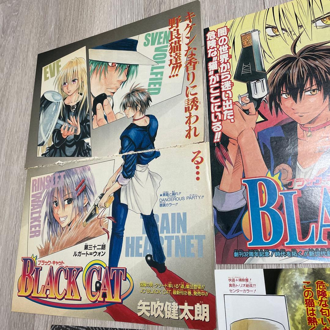 BLACK CAT 邪馬台幻想記 矢吹健太朗 カラー扉絵 切り抜き - メルカリ