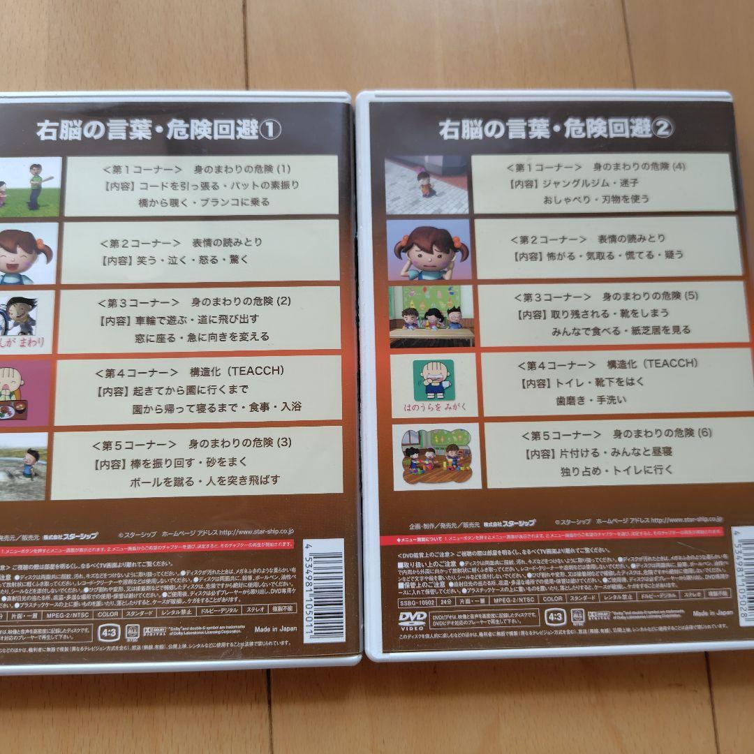 星みつる式 新 家庭療育 DVD スターシップ 発達トレーニング 右脳の言葉