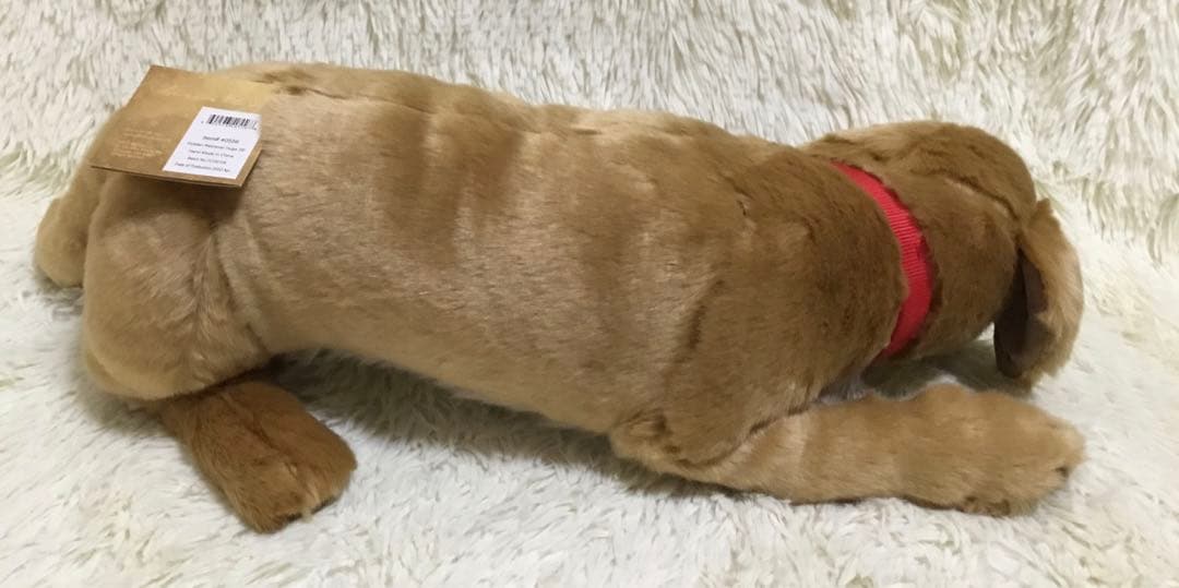 ☆希少 新品 DITZ ディッツ ハルモニア ぬいぐるみ ゴールデン