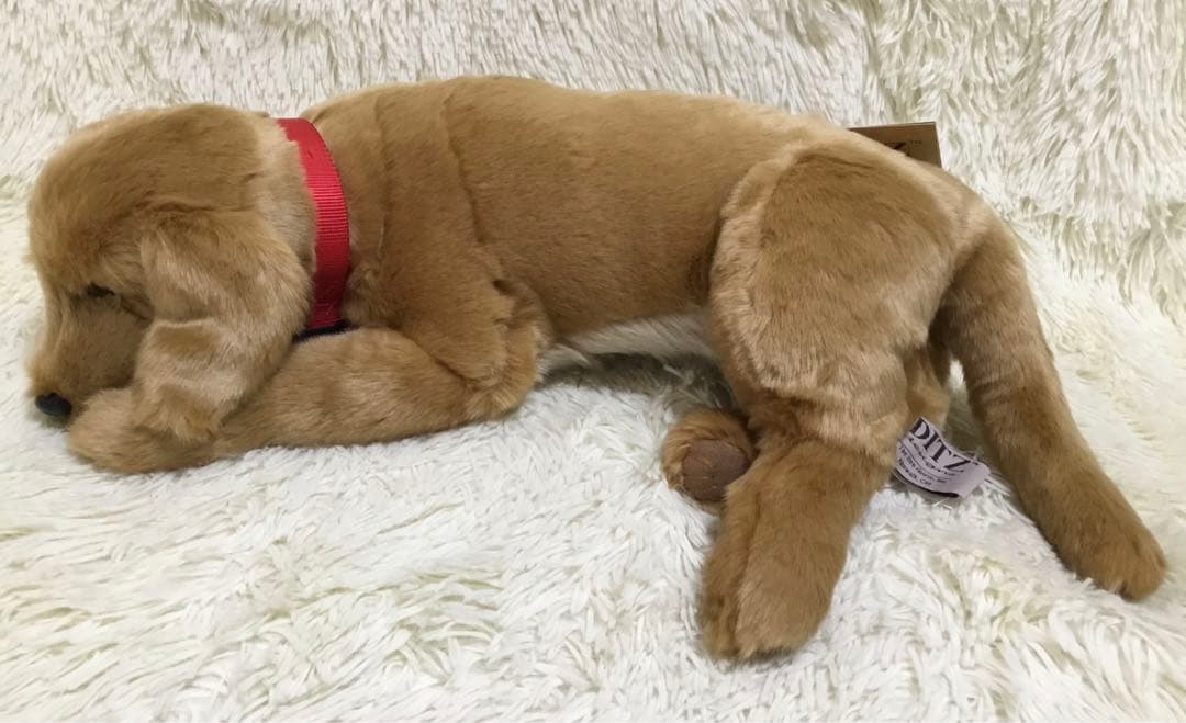 ☆希少 新品 DITZ ディッツ ハルモニア ぬいぐるみ ゴールデン