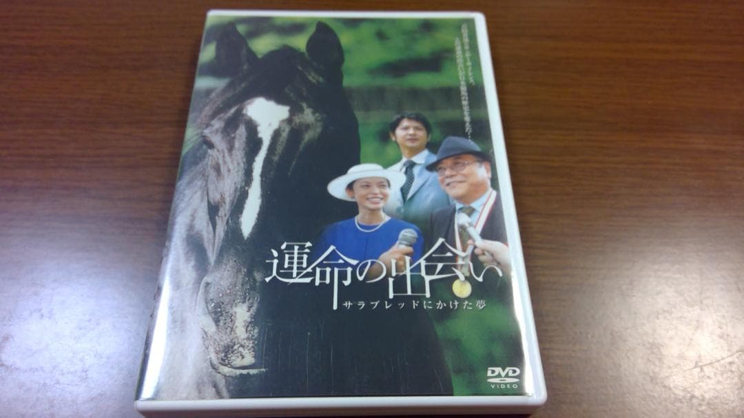 運命の出会い  　～サラブレッドにかけた夢～ 11月だけどハッピーハロ‎꜀( ꜆-ࡇ-)꜆