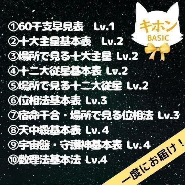 【￥11,000引】ゆめ乃算命学　本気のフルハウス　算命学　独学