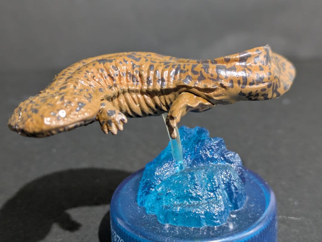 ☆超レア☆ 京都水族館開館記念 限定 オオサンショウウオ (台座違い