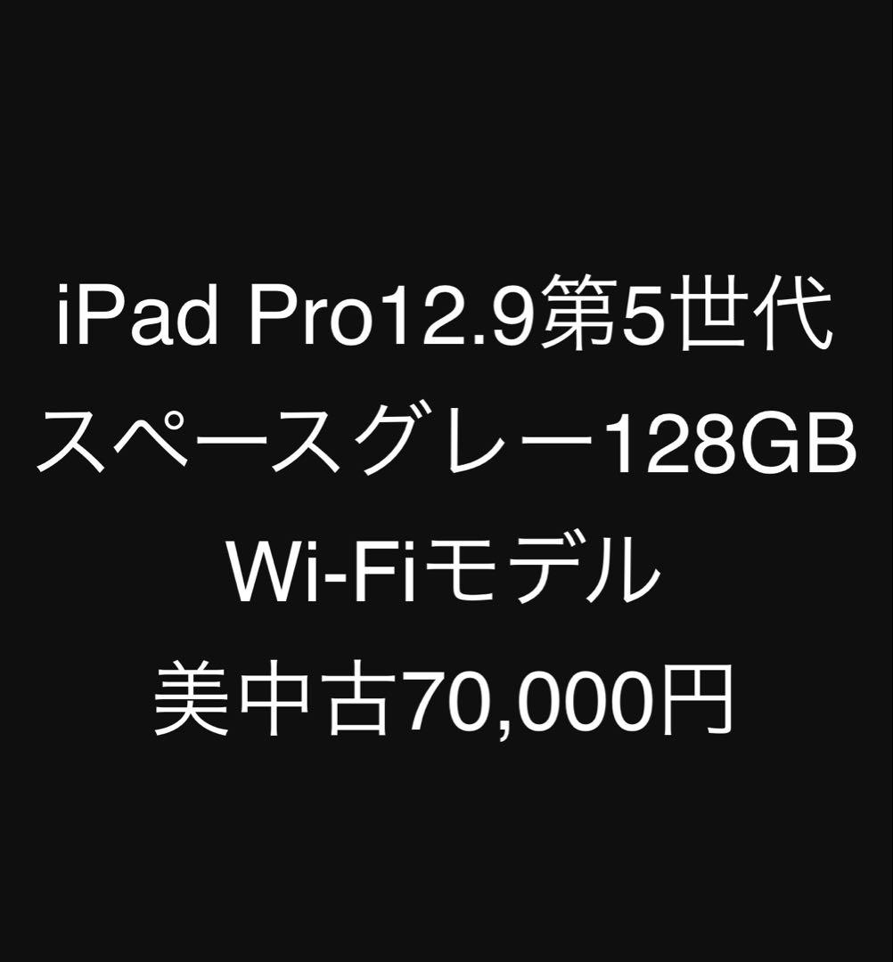iPad Pro 12.9inch 第5世代 128GB Wi-Fiモデル