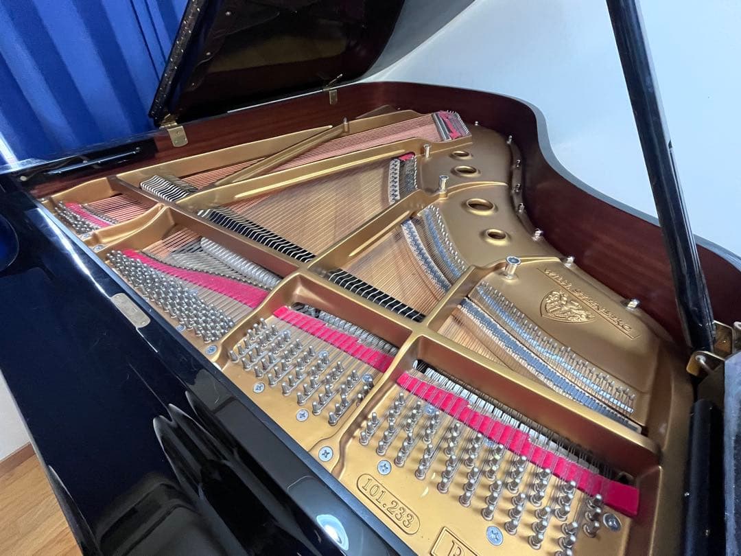 スタインベルグ WILH. STEINBERG グランドピアノ 黒 - メルカリ