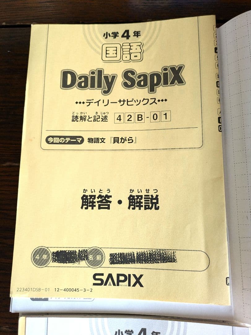 デイリーサピックス 4年生 国語 B教材セット 通常レッスン 1年分 処理済