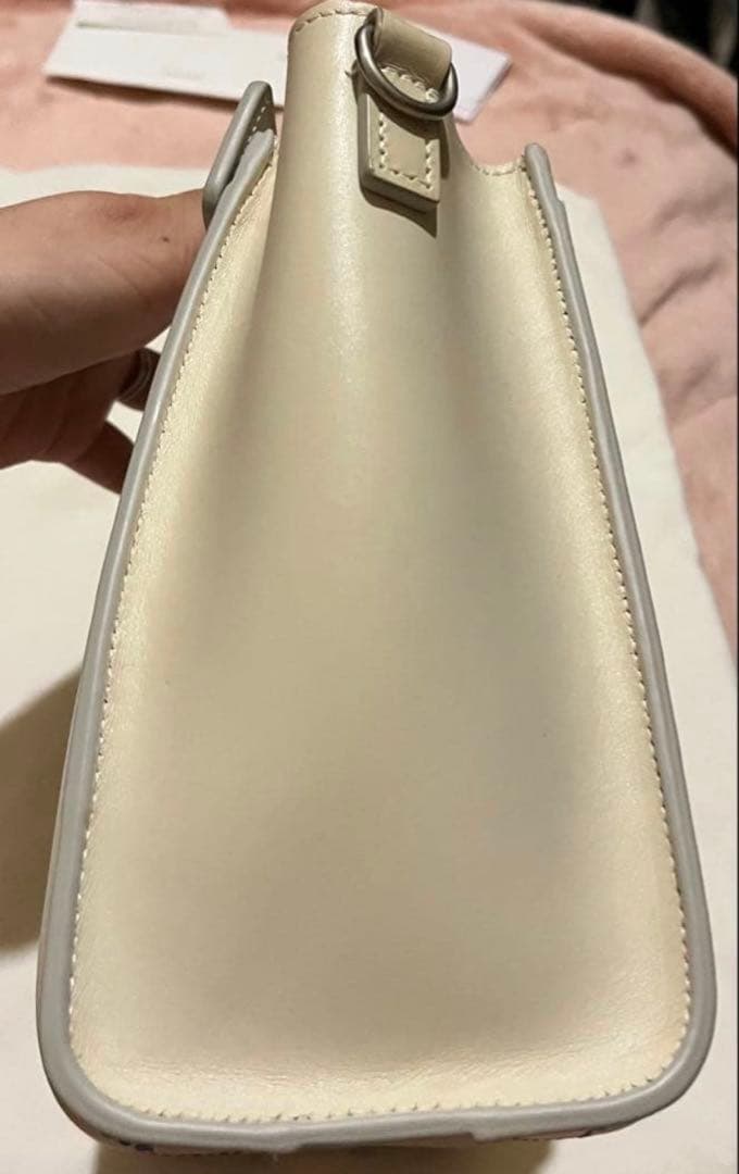 美品 セリーヌ ラゲージ ナノ マルチカラーステッチ ショルダー - メルカリ