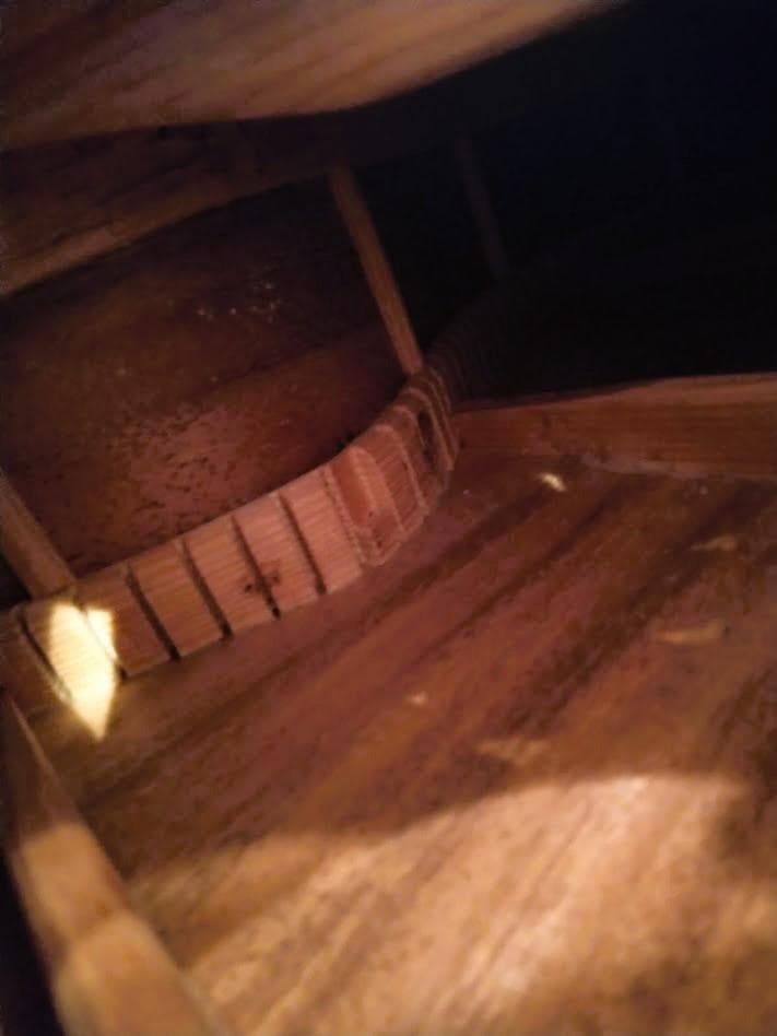 サ*ノ様 サムズ工房インレイカッタウエイギター オール単板 - メルカリ