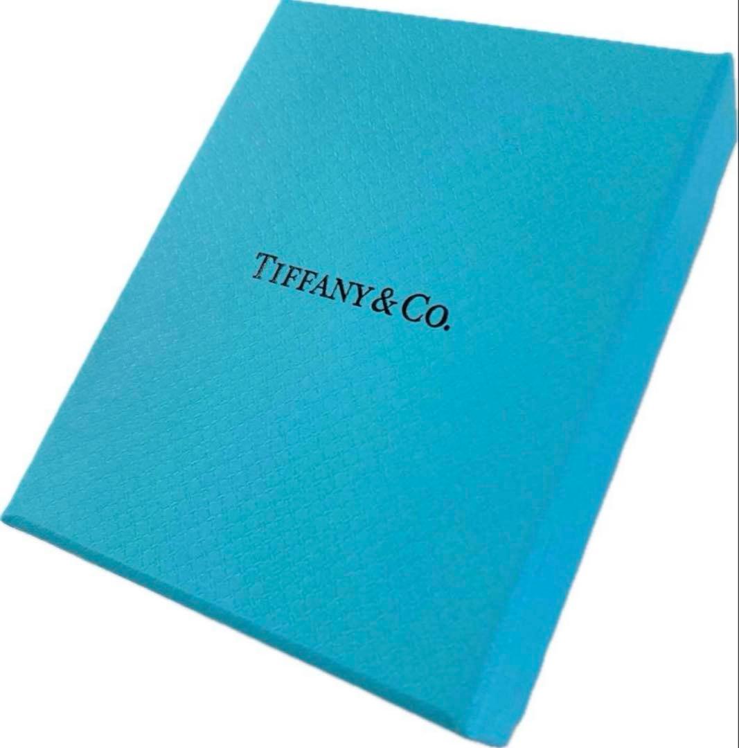 現行品 Tiffanyティファニー 空箱 巾着 取扱説明書 13