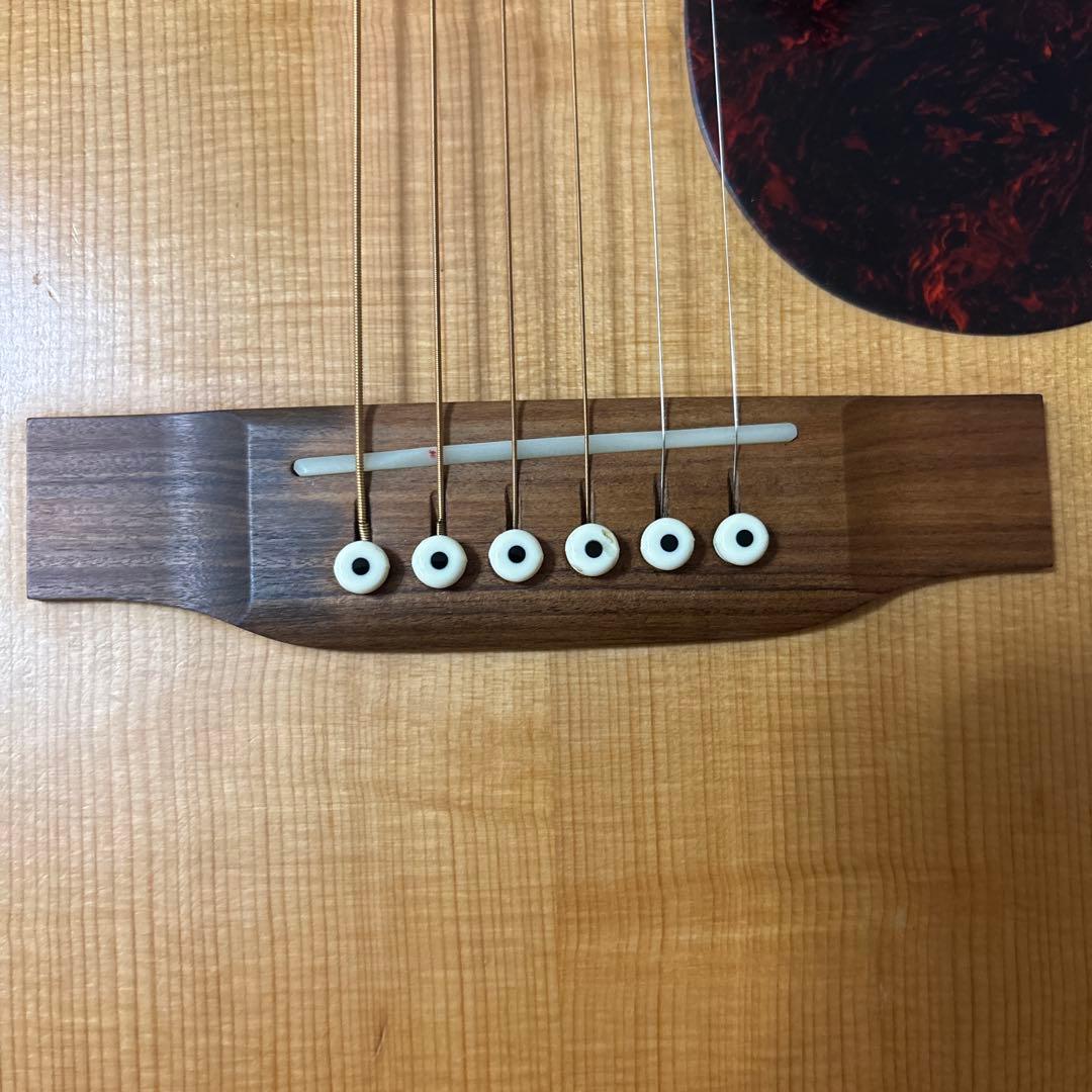 Martin & Co. DM アコースティックギター弦高調整済みの通販はau PAY