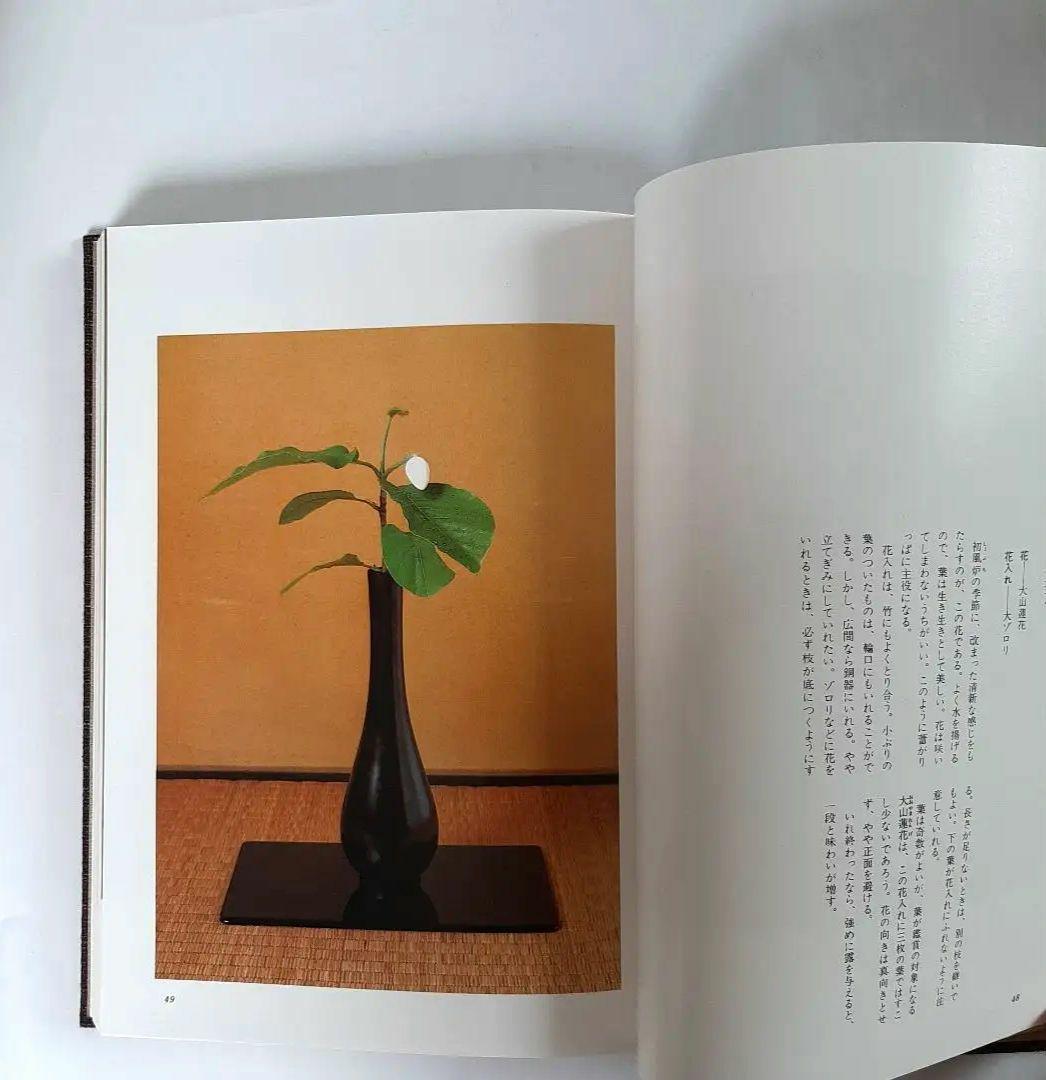 茶花入門 田中仙翁 主婦の友社