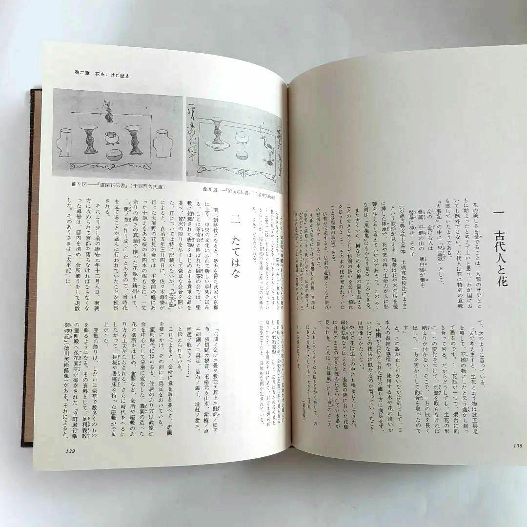 茶花入門 田中仙翁 主婦の友社