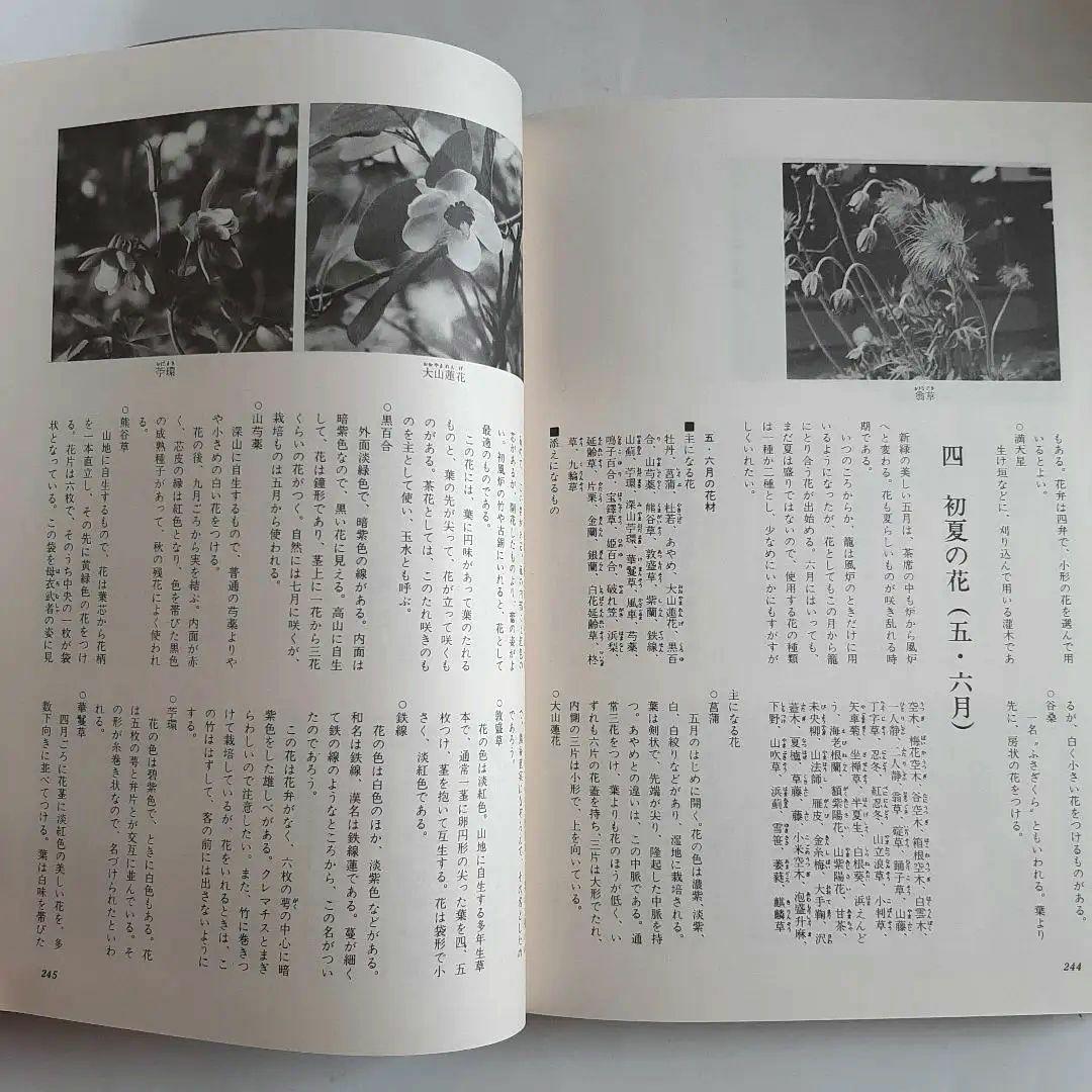 茶花入門 田中仙翁 主婦の友社
