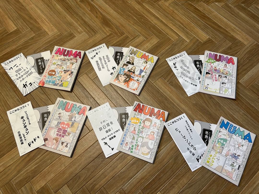 フェリシモ　漫画ヌマ　6回分