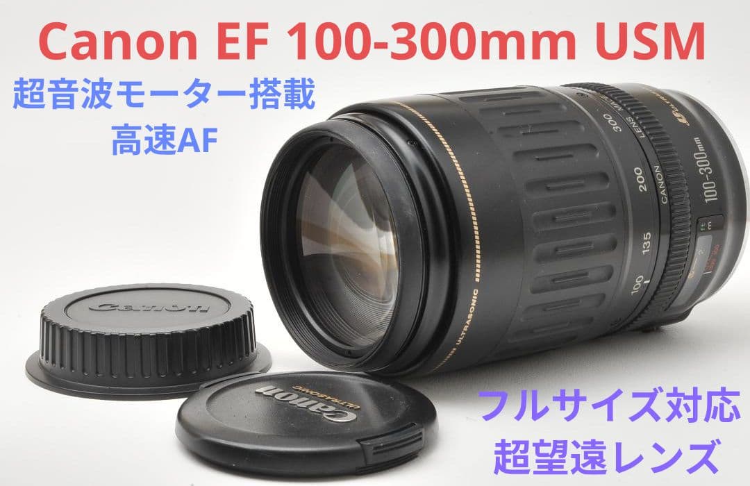 2月3日限定価格♪Canon EF 100-300mm USM Amazon.co.jp: Canon EF 100-300mm f/4.5-5.6 USM 望遠ズームレンズ