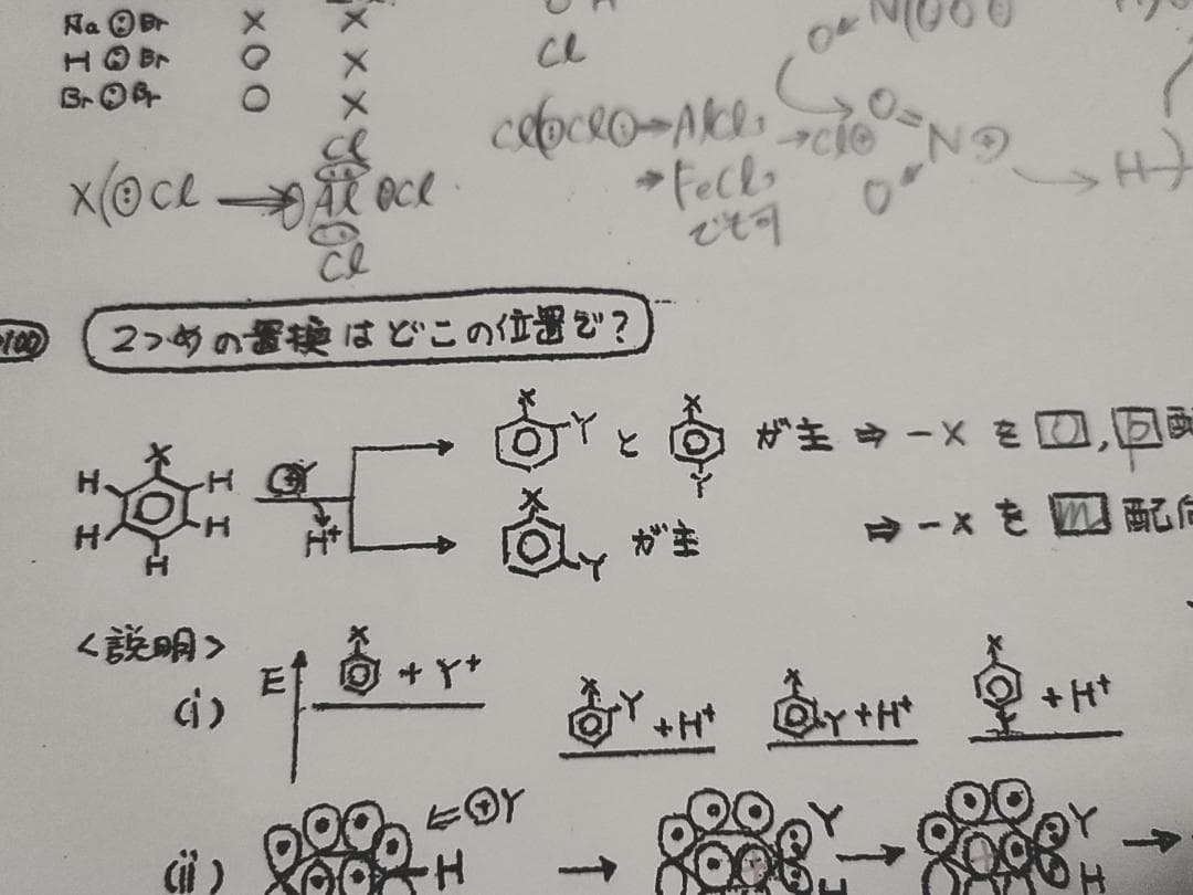 駿台の24年最新石川先生による深く学べる有機化学講義プリント 鉄緑会