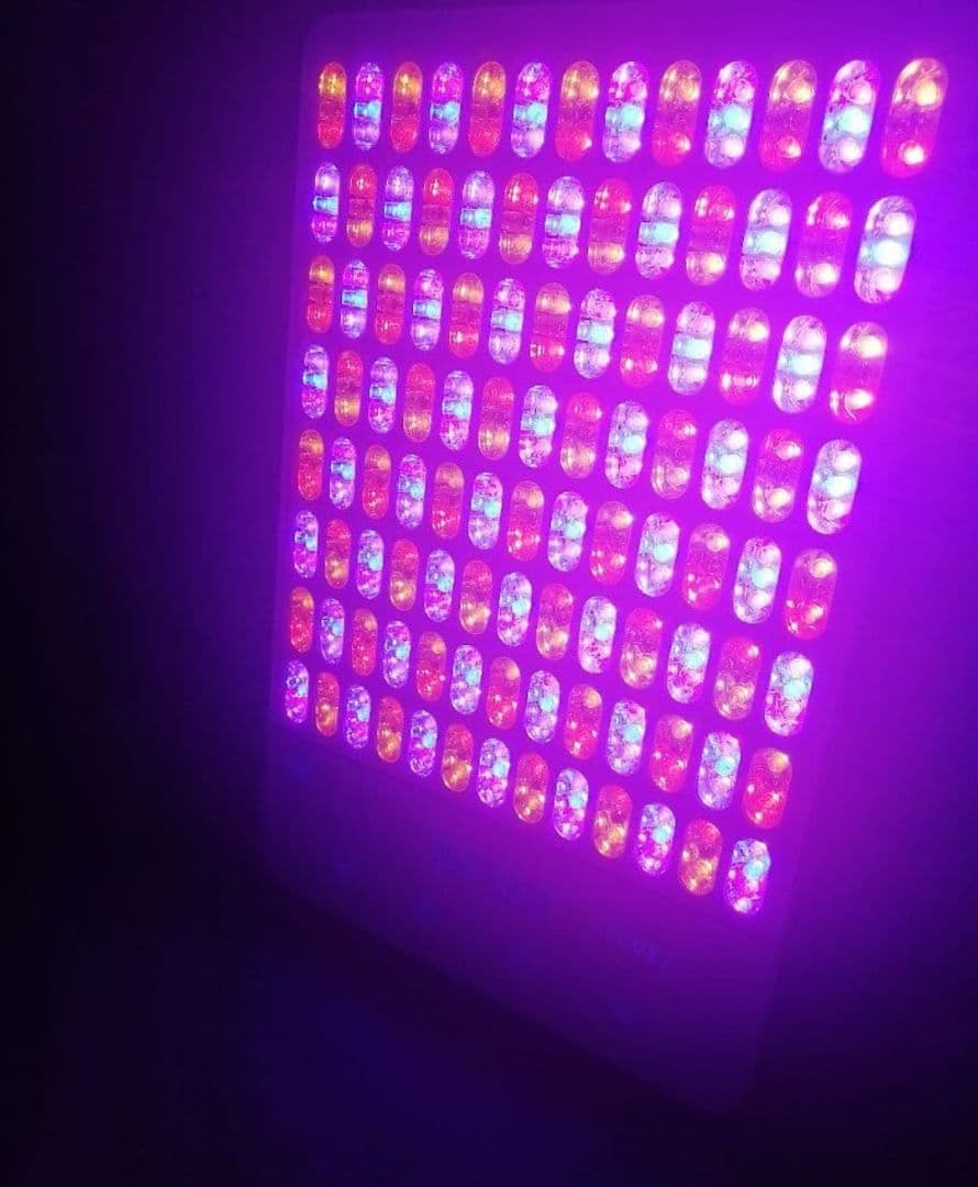 新品 VLVEE LED美顔器 光美容 美肌 育毛 エステ ホームエステ - メルカリ