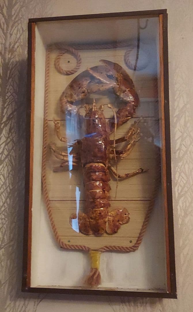 剥製　インテリア 事業リリース TIMELESS COMFORT】オリジナル家具ブランド「XANDER