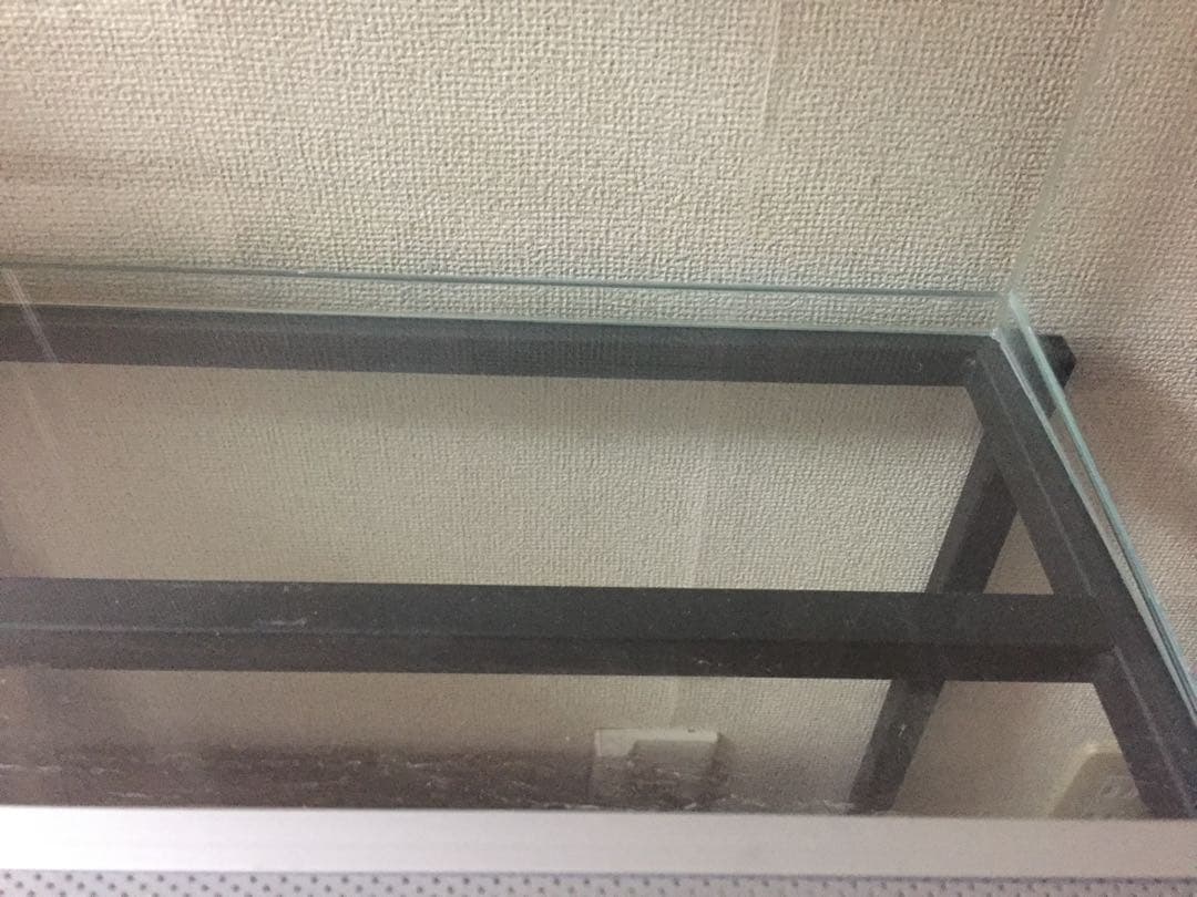 Rain Forest PCP6045 パルダリウムケージ 引取り限定専用 - メルカリ