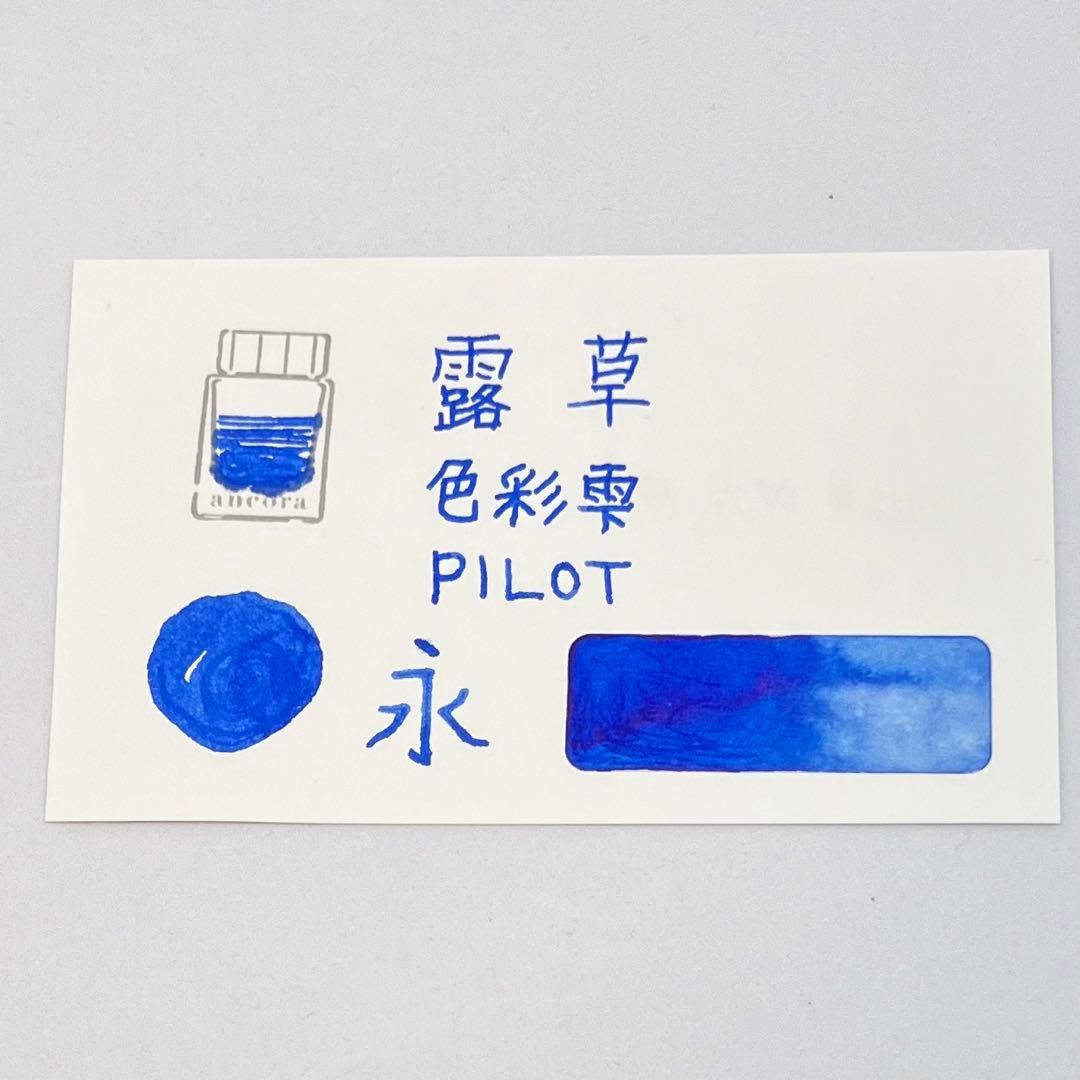 希少品】パイロット 色彩雫 「露草」 万年筆インク - メルカリ