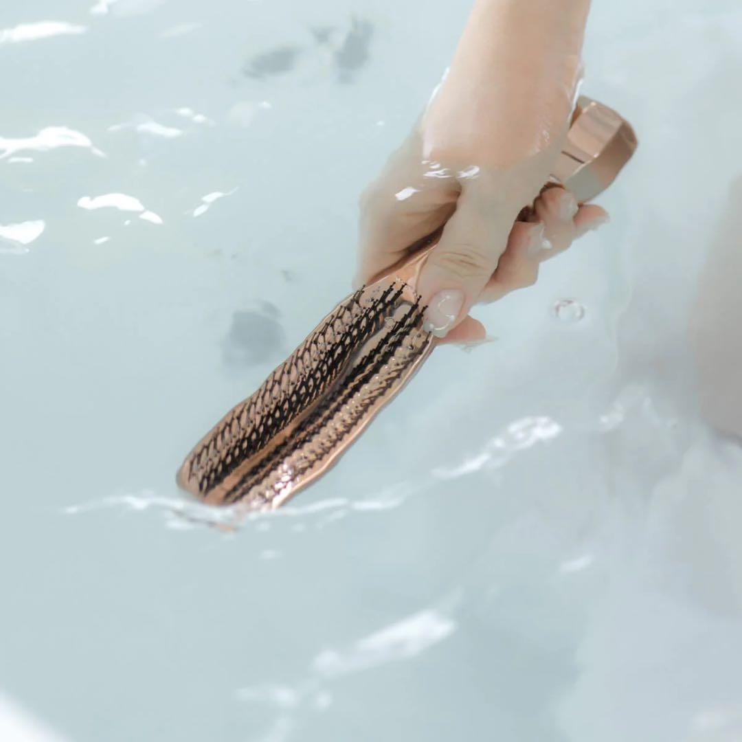 【新品未開封】WiLLAザ ブラシュ レボ　The Brashu revo