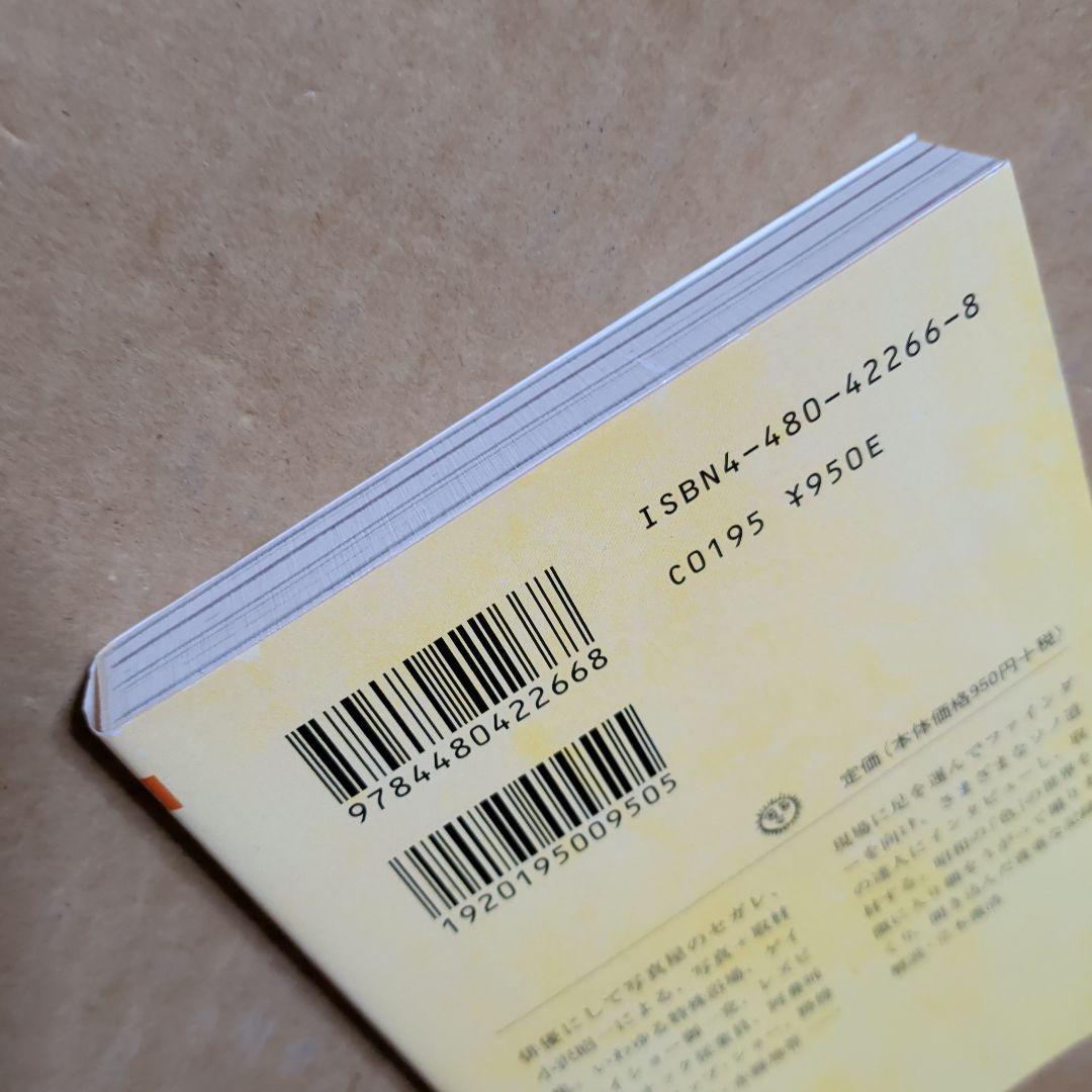 珍奇絶倫小沢大写真館　昭和　風俗　ゲイ　赤線　吉原　一条さゆり　カルーセル麻紀