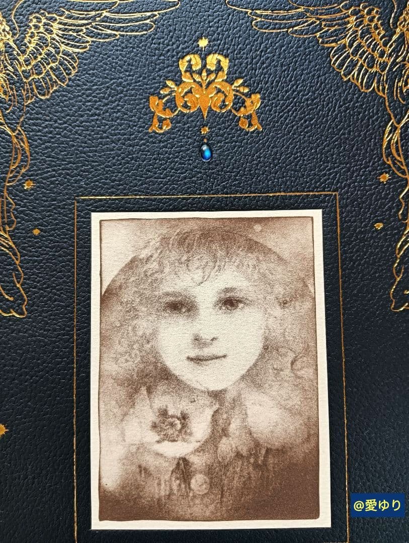 特大♢豪華限定♢羊革装版『きたのじゅんこ自選画集』天然宝石15石