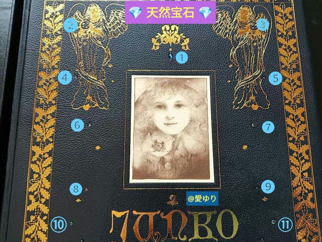 特大♢豪華限定♢羊革装版『きたのじゅんこ自選画集』天然宝石15石