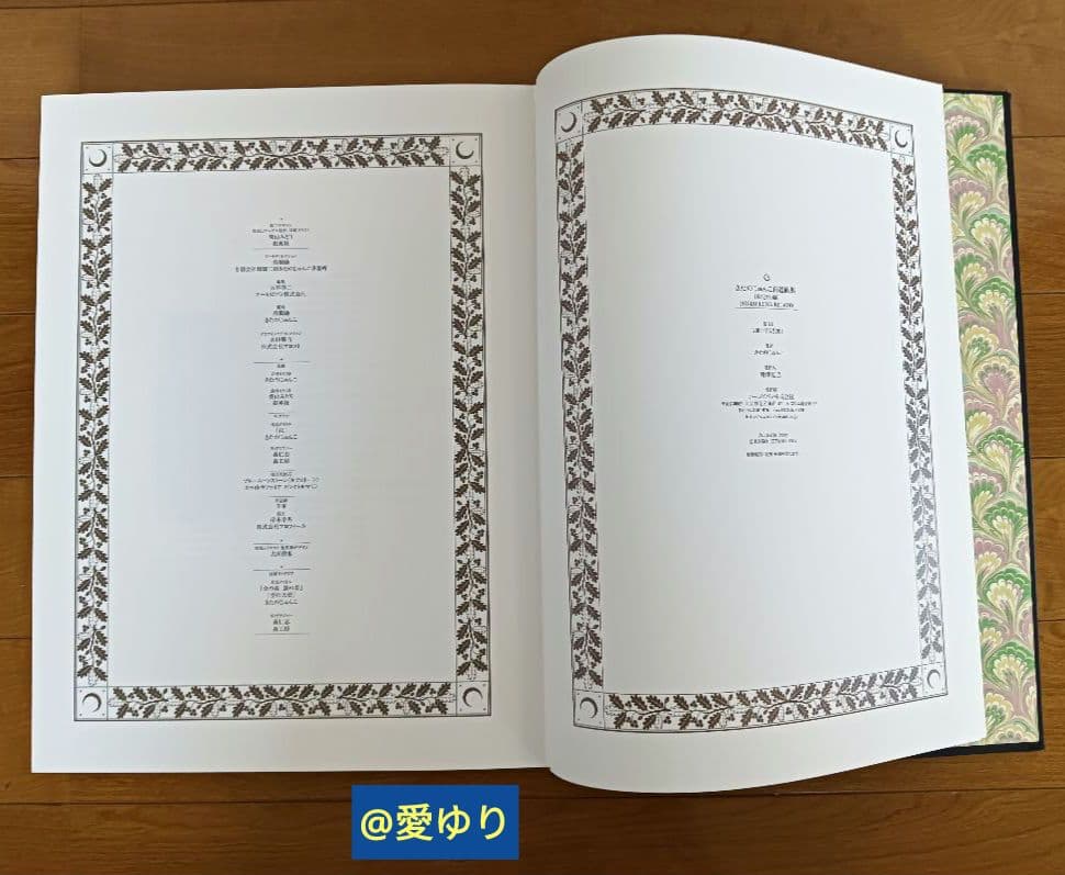 特大♢豪華限定♢羊革装版『きたのじゅんこ自選画集』天然宝石15石