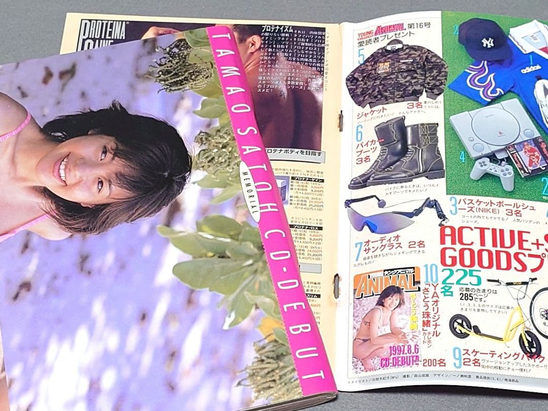 ヤングアニマル1997年16号/ベルセルクさとう珠緒ピンナップポスター付