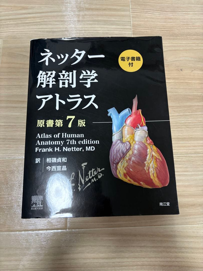 a*5様 ネッター解剖学アトラス 第7版 - メルカリ
