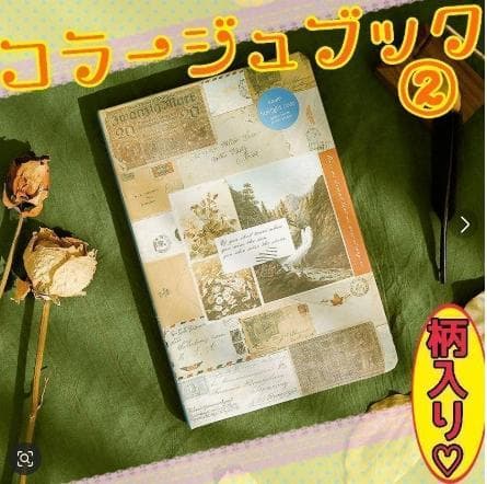 みどちゃんです