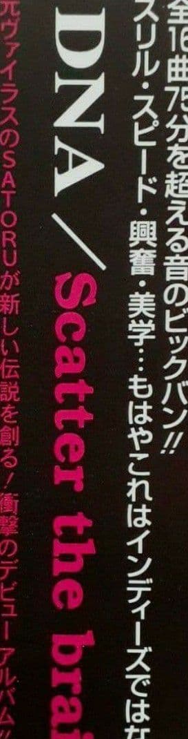 DNA VIRUS X-JAPAN 黒蝪蝶 AION ジャパメタ 廃盤 激レア