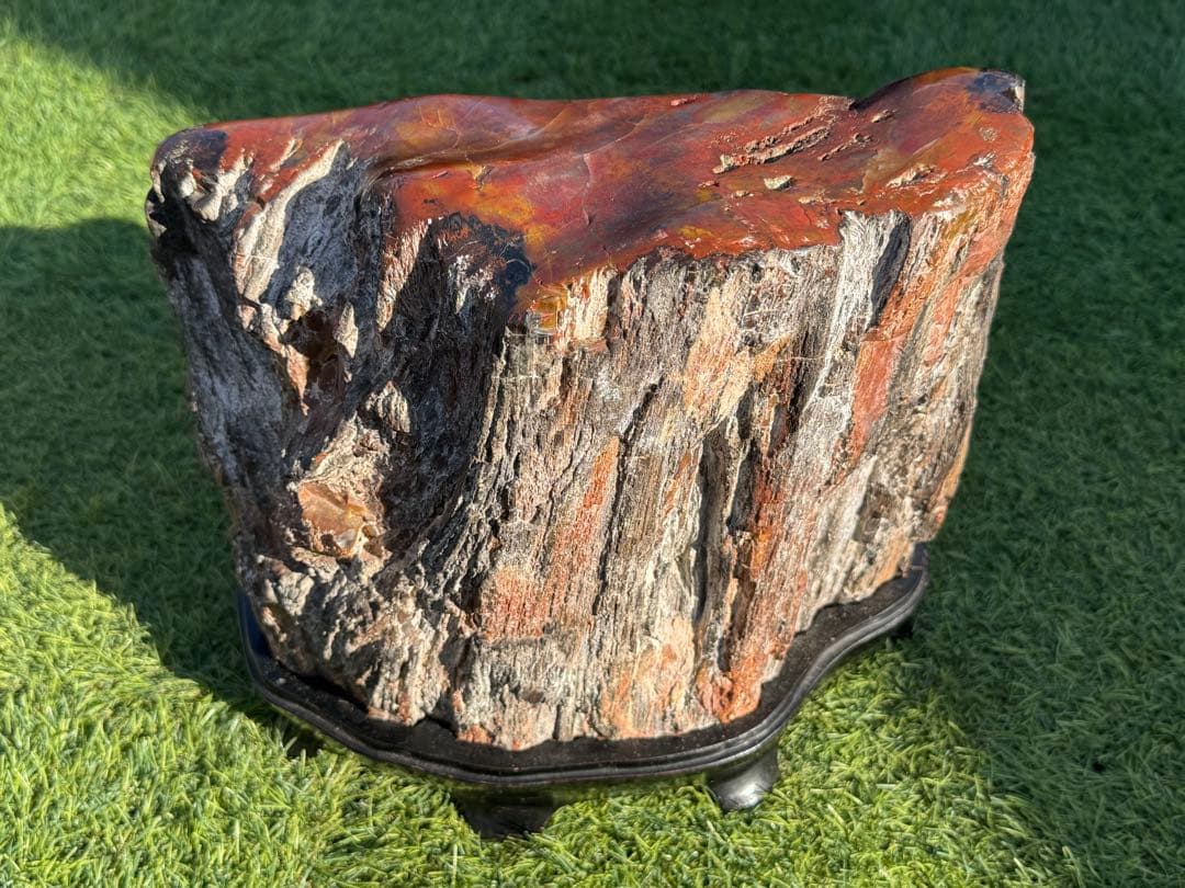 珪化木 木化石 鑑賞石 天然石 水晶 色石 赤石 赤玉石 アリゾナ珪化木