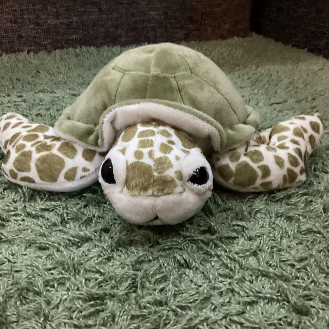 八景島シーパラダイス 亀ぬいぐるみHakkeijima sea paradise - メルカリ