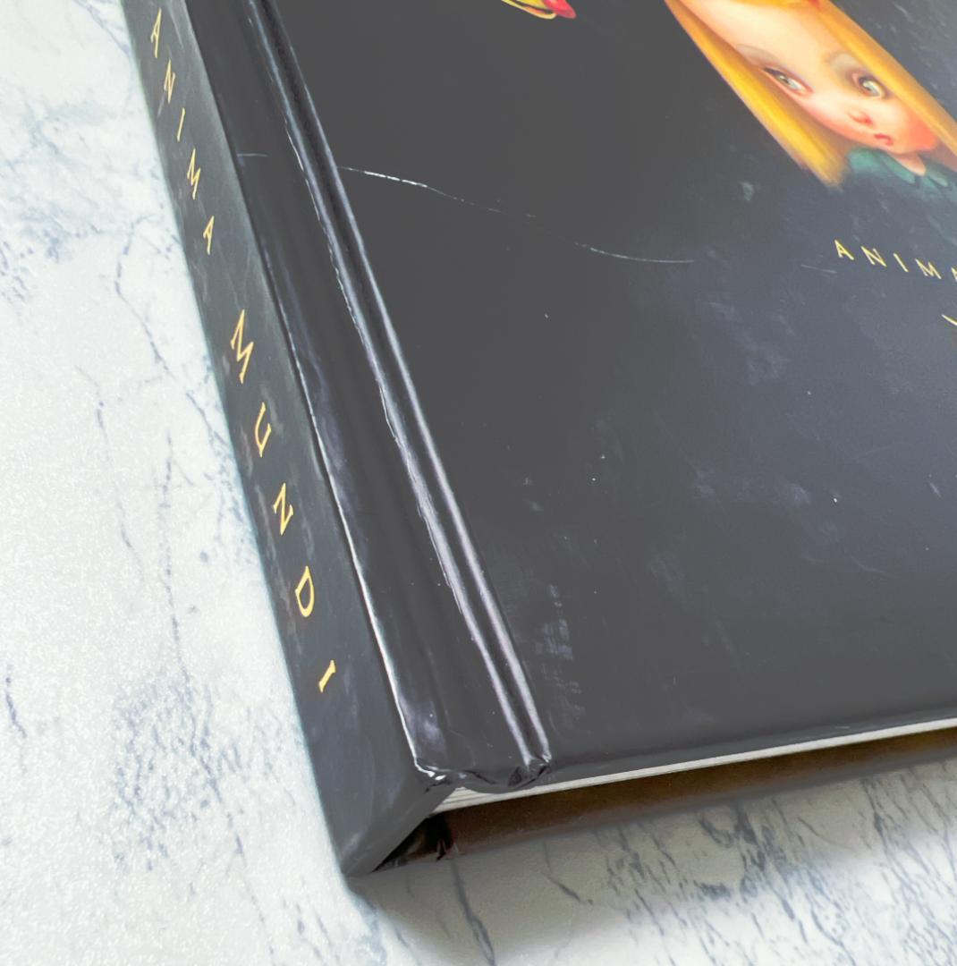 初版】MARK RYDEN 画集「ANIMA MUNDI」マーク・ライデン