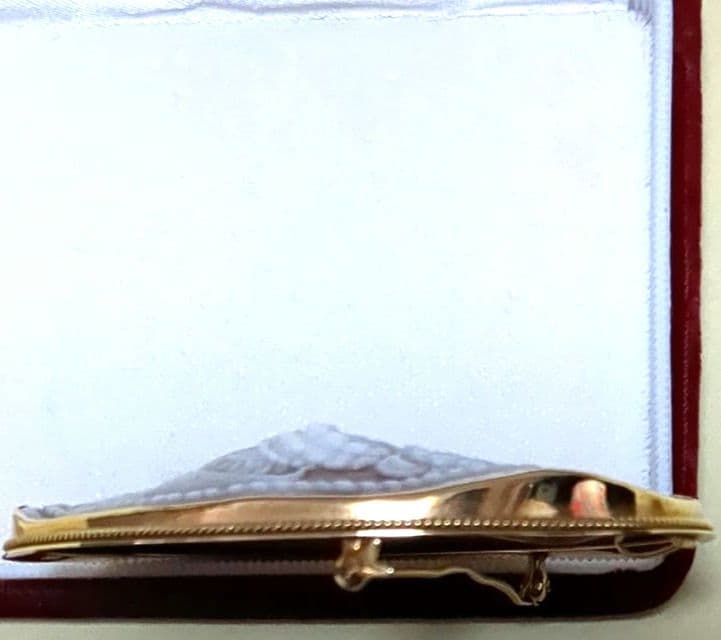 18金 天然シェルカメオブローチ 長さ74㎜重さ29g 作家サイン入 - メルカリ