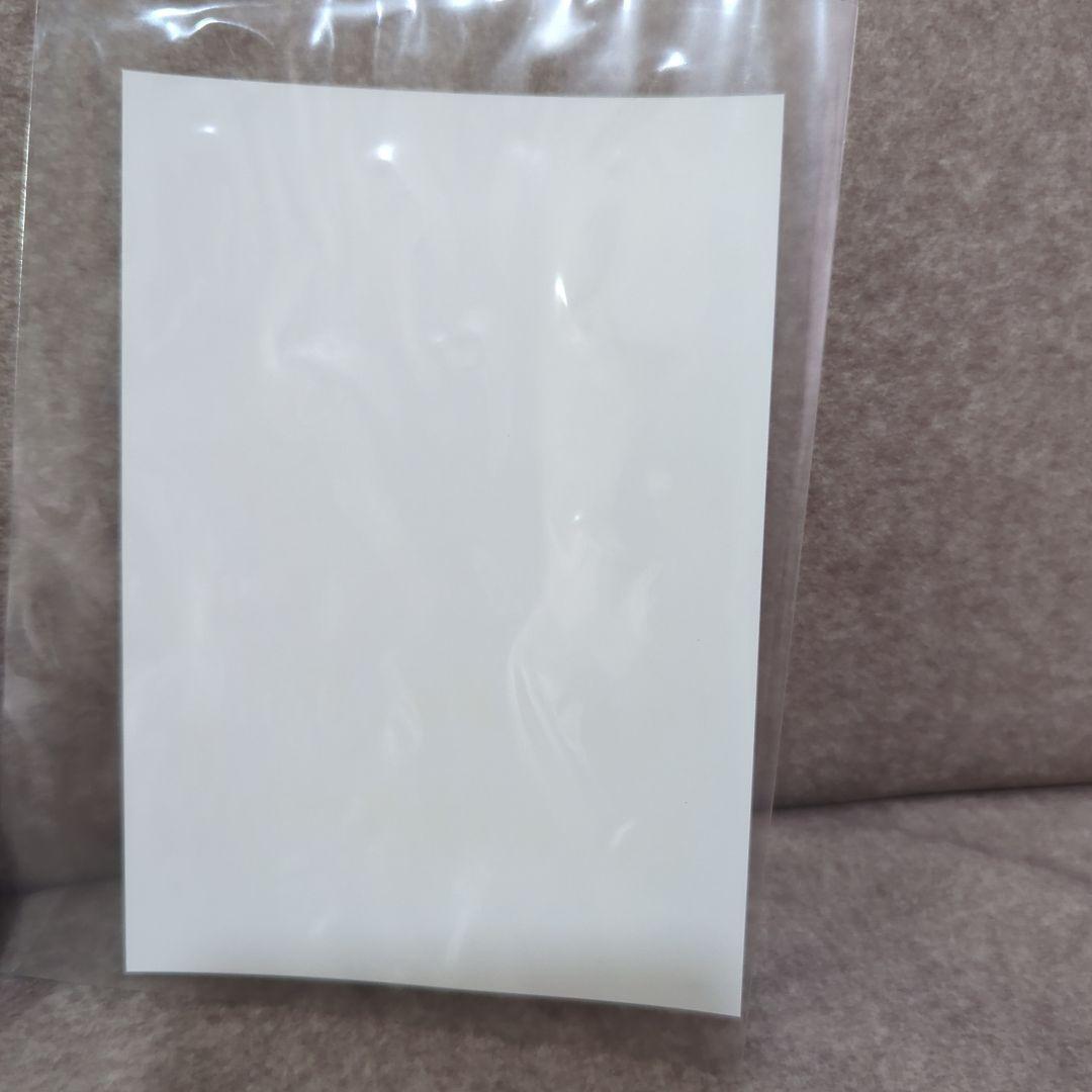 同人写真集　えなこみゅ　虚空のカナリア他2点　レア　新品未開封