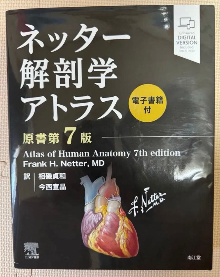 ネッター解剖学 フルセット版 原書第7版