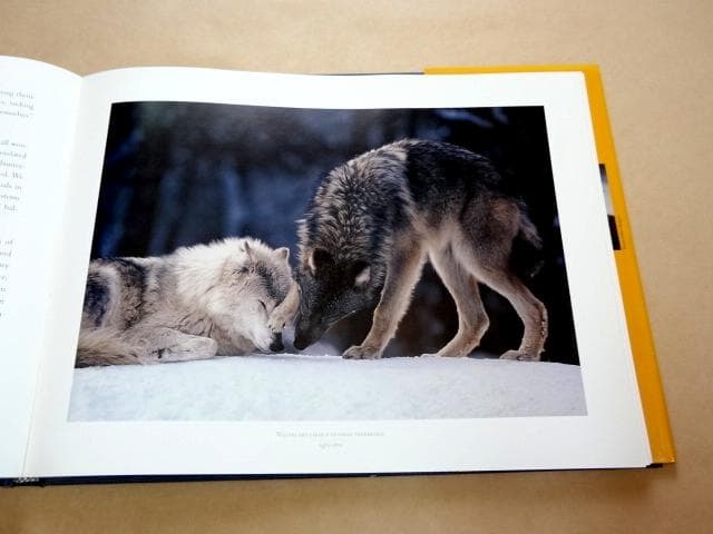 ☆ ジム・ブランデンバーグ 写真集 Brother Wolf ブラザー・ウルフ