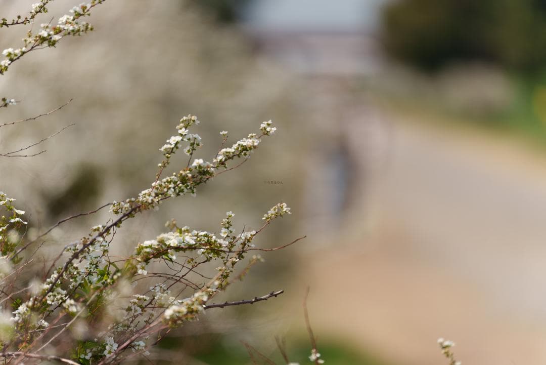新品同様！超望遠ズーム！TAMRON 70-300mm F4.5-6.3