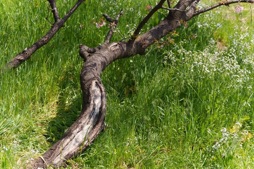 新品同様！超望遠ズーム！TAMRON 70-300mm F4.5-6.3