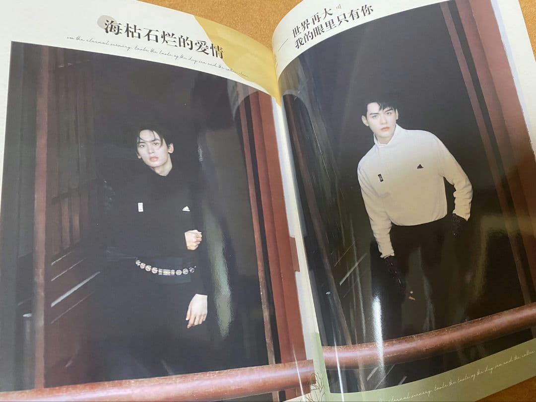 山河令 ゴンジュン・張哲瀚 BAZAAR 写真集 - メルカリ