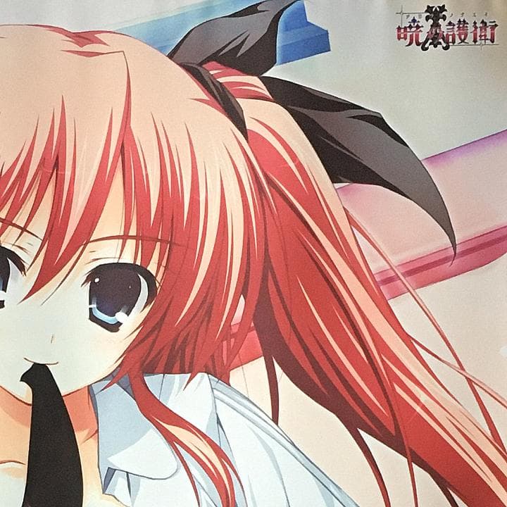 暁の護衛 二階堂麗華 タペストリー 9本セット 【稀少品】 - メルカリ